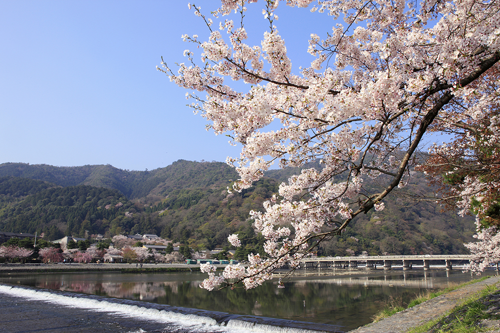 Arashiyama