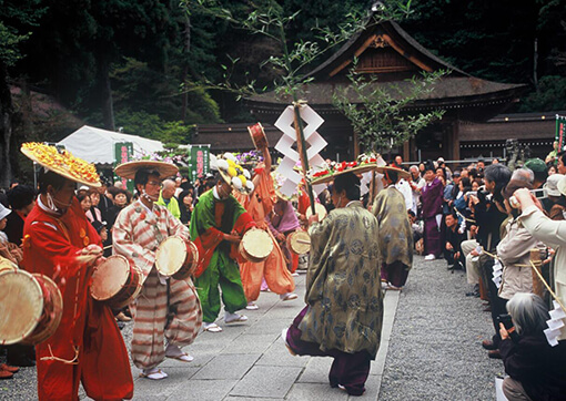 花祭り